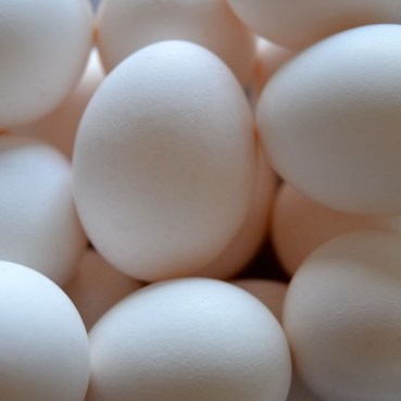 卵の消費量の都道府県ランキング 平成29年 地域の入れ物