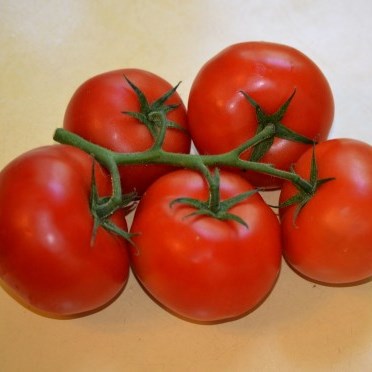 トマトの生産量の都道府県ランキング 平成29年 地域の入れ物